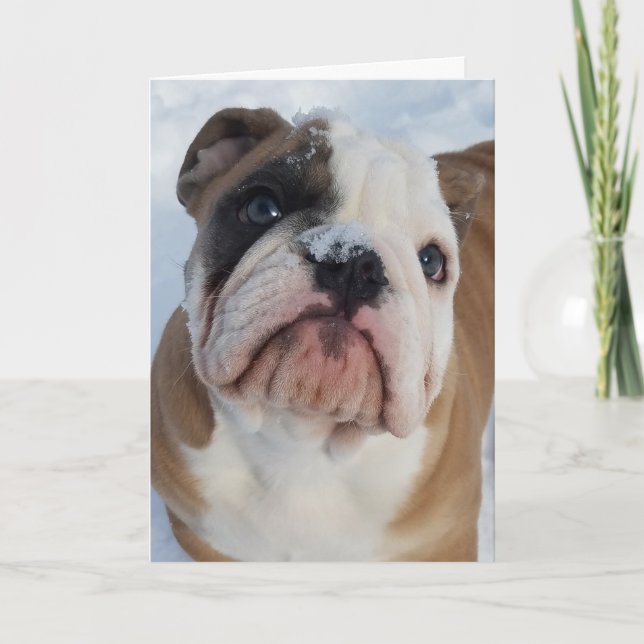 Tarjeta Festiva Thor The Bulldog Merry Christmas Card (Anverso)