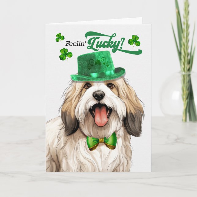 Tarjeta Festiva Tibetano Terrier Perro se siente afortunado el Día (Anverso)