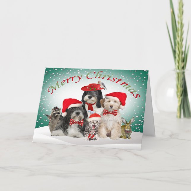 Tarjeta Festiva Tibetanos Terrier Navidades con amigos (Anverso)