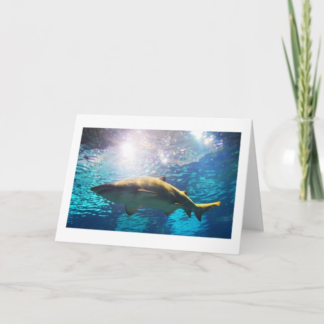 Tarjeta Festiva Tiburón tigre de arena (Anverso)