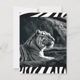 Tarjeta Festiva Tigre blanco y negro