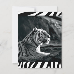 Tarjeta Festiva Tigre blanco y negro