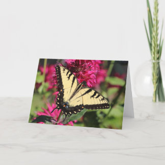 Tarjeta Festiva Tigre del este Swallowtail en bálsamo de abeja