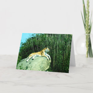Tarjeta Festiva Tigre relajante