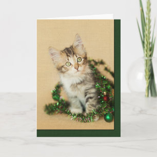 Tarjeta Festiva Tinsel Kitten