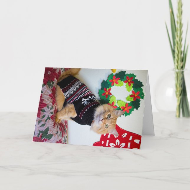 Tarjeta Festiva Tío de Maine I (Anverso)