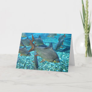 Tarjeta Festiva Tiro de pescado
