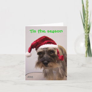 Tarjeta Festiva Tis la estación