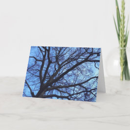 Tarjeta Festiva Toldo de árbol contra un cielo azul del invierno -