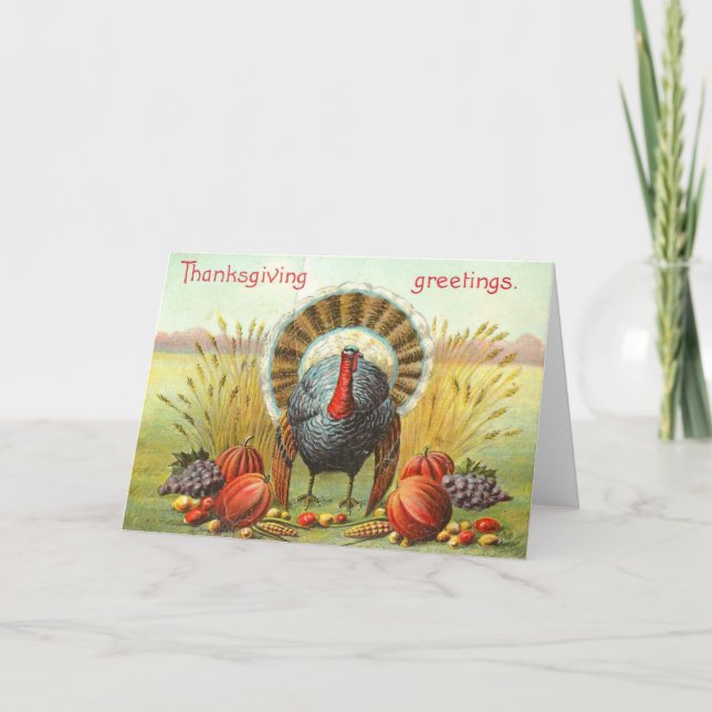 Tarjeta Festiva Toro del día de Acción de Gracias con calabazas (Anverso)