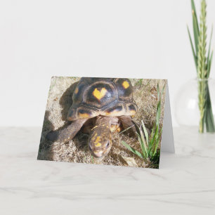 Tarjeta Festiva Tortoise con patrón cardíaco Valentine