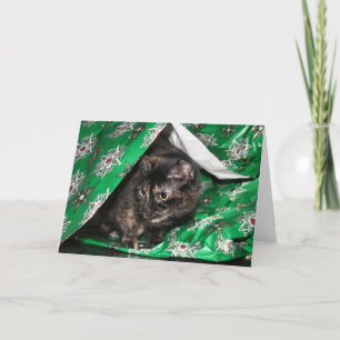 Tarjeta Festiva Tortoisesinfierno envuelto en regalo