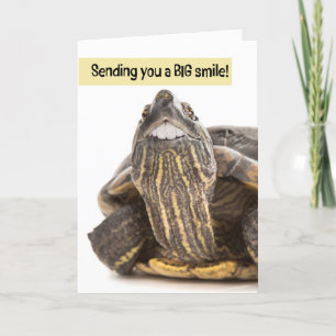 Tarjeta Festiva Tortuga con dientes grandes Humor sonriente