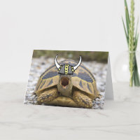 Tortuga con un Gorra vikino en blanco