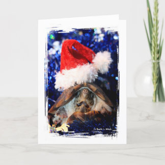Tarjeta Festiva Tortuga en la foto de Santa Hat Navidades