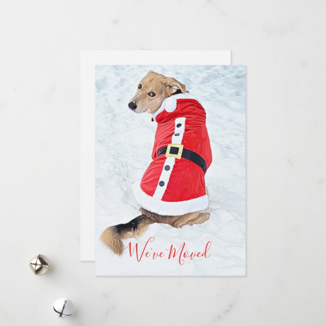 Tarjeta Festiva Trasladando Navidades burdos al perro en la nieve, (Anverso/Reverso In Situ)
