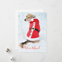 Trasladando Navidades burdos al perro en la nieve,