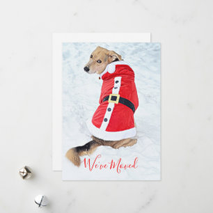 Tarjeta Festiva Trasladando Navidades burdos al perro en la nieve,