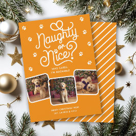 Tarjeta Festiva Travieso o Amable Divertido Lindo Perro Gato Masco