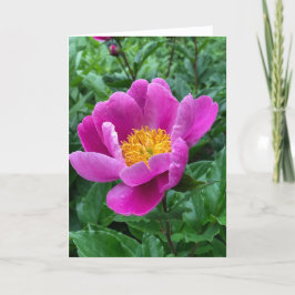 Tarjeta Festiva Tree Peony Blank Note Card