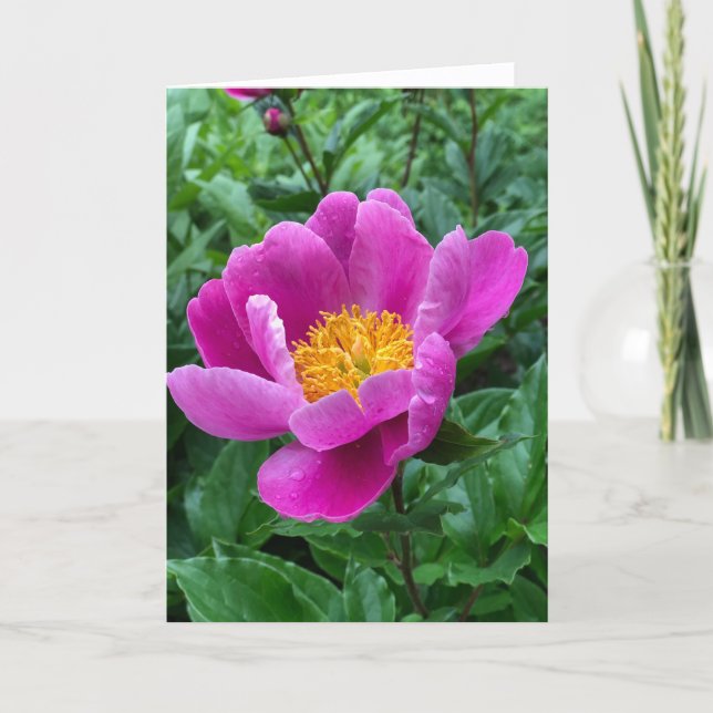 Tarjeta Festiva Tree Peony Blank Note Card (Anverso)