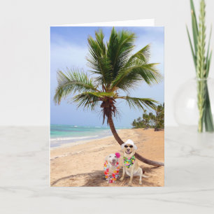 Tarjeta Festiva Trenzado en la isla abandonada