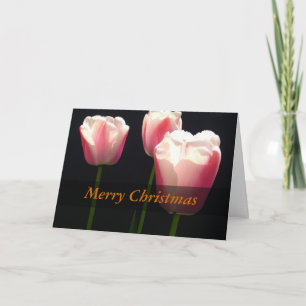 Tarjeta Festiva Tres flores de tulipán rosadas. Navidad, fiestas.
