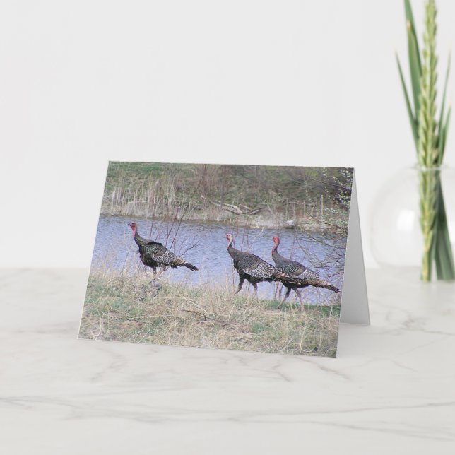 Tarjeta Festiva Trío de Turquía por el agua (Anverso)