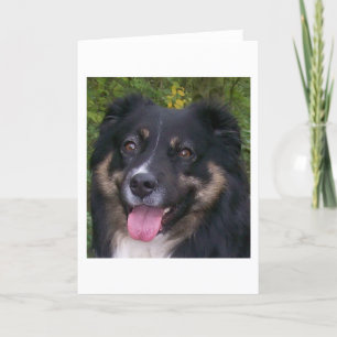 Tarjeta Festiva trío negro australiano