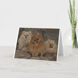 Tarjeta Festiva Trío pomeranian pedigrí de la taza de té, el día