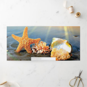 Tarjeta Festiva Tríptica conchas de mar y estrellas de mar en la playa