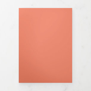 Tarjeta Festiva Tríptica Diario de Estudio Personalizado Planificador Esc