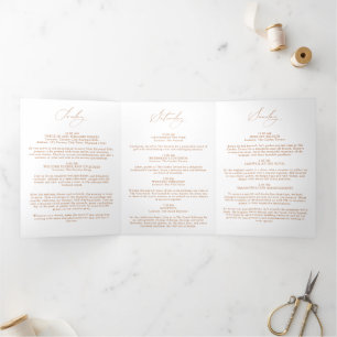 Tarjeta Festiva Tríptica Folleto elegante de la línea de tiempo internacion