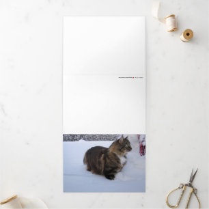 Tarjeta Festiva Tríptica gato del bosque noruego en la nieve