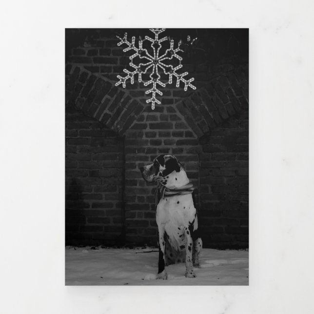 Tarjeta Festiva Tríptica Jahresrückblick Fotos Karte  (Foto de portada)