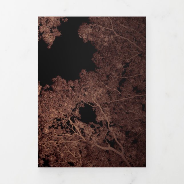 Tarjeta Festiva Tríptica Mapa de árboles 5 (Foto de portada)