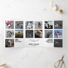 Resumen del año Fotos Mapa