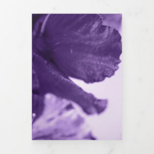 Tarjeta Festiva Tríptica Violetas monocromas