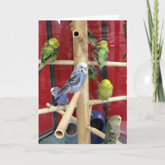 TARJETA FESTIVA "TUITEAR" FELIZ MÁS FÁCIL PARA "TI" (Anverso)