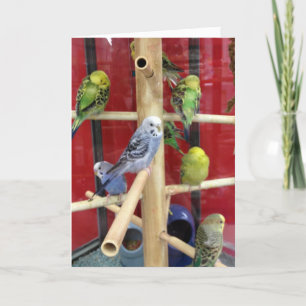 TARJETA FESTIVA "TUITEAR" FELIZ MÁS FÁCIL PARA "TI"