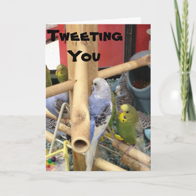 TARJETA FESTIVA "TUITEAR" PARA DECIR QUE TENGAN UN FELIZ MÁS FÁCIL (Anverso)