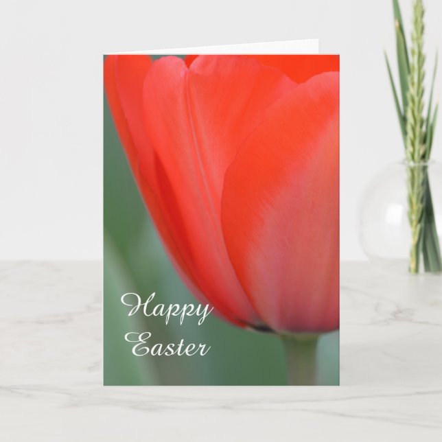 Tarjeta Festiva Tulip Rojo (Anverso)