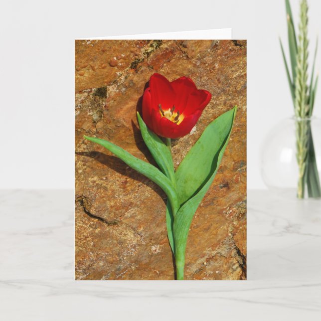 Tarjeta Festiva Tulipán amarillo y rojo (Anverso)