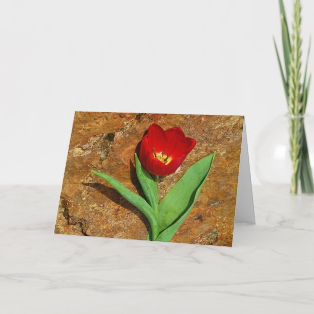 Tarjeta Festiva Tulipán amarillo y rojo (Anverso)