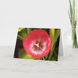 Tarjeta Festiva Tulipán rojo