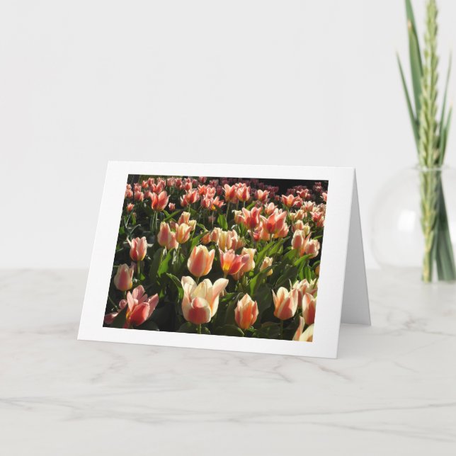 Tarjeta Festiva tulipanes a montones (Anverso)