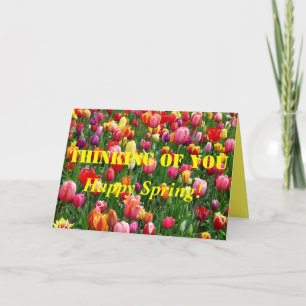 Tarjeta Festiva Tulipanes de primavera feliz