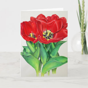 Tarjeta Festiva Tulipanes Rojos
