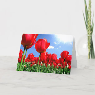 Tarjeta Festiva Tulipanes rojos en primavera