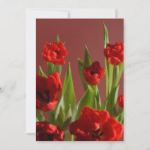 Tulipanes Rojos “¿Sé mi San Valentín?” San Valentí